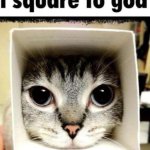 I square to god meme