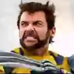 Angry Wolverine