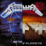 Seth Metallica Shared temp