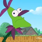 I'm a plant