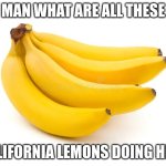 California Lemons | MAN WHAT ARE ALL THESE; CALIFORNIA LEMONS DOING HERE | image tagged in california lemons | made w/ Imgflip meme maker