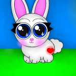 Cotton Tail