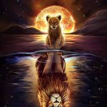 Baby Lion