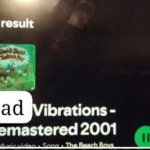 Bad Vibrations