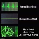 heartbeat rate | Heartbeat when mom yells my full name | image tagged in heartbeat rate,mom,memes,relatable | made w/ Imgflip meme maker