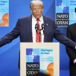 Trump NATO