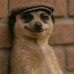 Us watching you try to run a business with a website or email