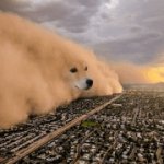 Hoboob Dog