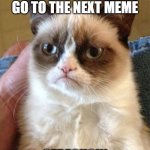 go to the next meme | GO TO THE NEXT MEME; SEREOUSLY | image tagged in memes,grumpy cat | made w/ Imgflip meme maker