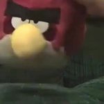 dump scares GIF Template