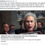 Maga Gillibrand