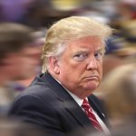 Trump crazy paranoid senile dementia meme