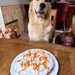 Birthday Blues