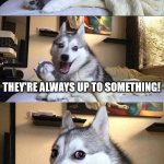 Get it? | NEVER TRUST STAIRS... THEY'RE ALWAYS UP TO SOMETHING! | image tagged in memes,bad pun dog,stairs,cringe | made w/ Imgflip meme maker