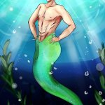 makoto merman