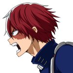 shoto