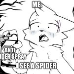 BoyKisser Anti-Women Spray | ME:; ANTI SPIDER SPRAY; I SEE A SPIDER | image tagged in boykisser furry anti woman spray,oh hell no,spider | made w/ Imgflip meme maker