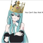 You cant say that miku meme