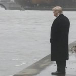 My mood today (Trump)