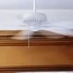 Karen read GIF Template