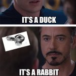 What do you think it is? | IT’S A DUCK; IT’S A RABBIT | image tagged in memes,marvel civil war 1 | made w/ Imgflip meme maker