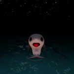 Surprised Shark