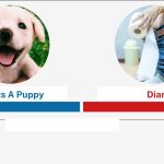 Everyone gets a puppy vs diarrhea forever