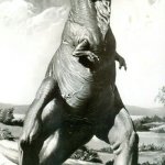T. Rex dragging it tail