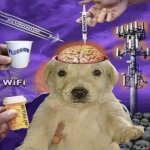 Dog 5G Tower