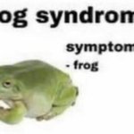 frog syndrome meme