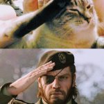 Salute ?