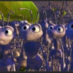 Ants