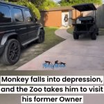 Most Emotional GIF Of The Day | image tagged in gifs,most emotional gif of the day | made w/ Imgflip video-to-gif maker