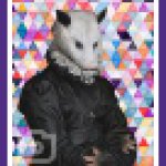 Colorful Geo Possum