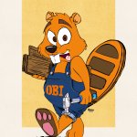 Obi Bober