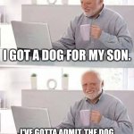 Hide the Pain Harold Meme | I GOT A DOG FOR MY SON. I'VE GOTTA ADMIT, THE DOG IS MUCH QUIETER. NICE TRADE HUH? | image tagged in memes,hide the pain harold | made w/ Imgflip meme maker