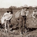 White slaves