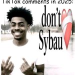 TikTok Comments For Real | TikTok comments in 2025: | image tagged in don't sybau | made w/ Imgflip meme maker