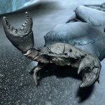 Skyrim Mudcrab