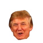Donald Trump face