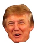 Donald Trump head