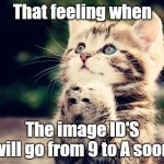Exciting | That feeling when; The image ID'S will go from 9 to A soon | image tagged in kitten can i haz | made w/ Imgflip meme maker