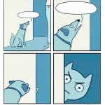 Small angry dog
