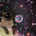 COPY SPACE
