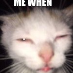 Tired cat | ME WHEN | image tagged in tired cat | made w/ Imgflip meme maker