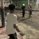 temu plants vs zombies | image tagged in gifs,plants vs zombies,slippers | made w/ Imgflip video-to-gif maker