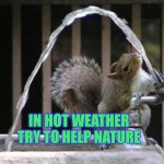Thirsty Squirrel | IN HOT WEATHER TRY TO HELP NATURE | image tagged in thirsty squirrel | made w/ Imgflip meme maker