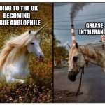 Grease Intolerance Is Painful & Terrible, I Just Wanna Live A Normal Life | GOING TO THE UK
BECOMING A TRUE ANGLOPHILE; GREASE INTOLERANCE | image tagged in unicorn before and after | made w/ Imgflip meme maker