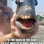 I bet it eats shrimp, thinking they're crumpets | OI! PUT ME BACK IN THE GIANT BO O O' WOA YA BLOODY AMERICAN! | image tagged in well at least british fish | made w/ Imgflip meme maker