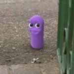 purple bean